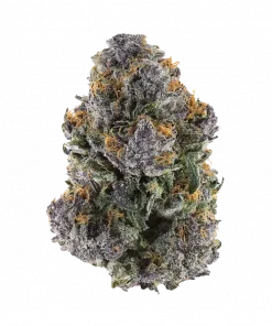 2090 Shit, ananas aromalı ve THC içeren dengeli bir hibrit türüdür. Enerji verici ve rahatlatıcı etkileriyle öne çıkar. Özelliklerini keşfedin.