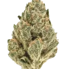 24k Gold, baskın portakal aroması ve yüksek THC içeriğiyle bilinen Indica dominant bir türdür. Benzersiz genetik yapısını ve potansiyel faydalarını keşfedin.