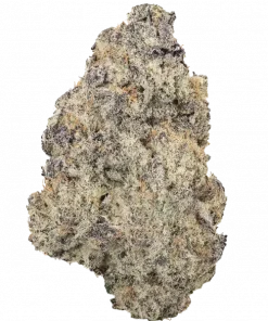 33rd Degree, yakıtımsı ve turunçgil aromalarıyla öne çıkan indica dominant bir türdür. Yüksek THC içeriğiyle dikkat çeken bu türün genetik yapısını keşfedin.