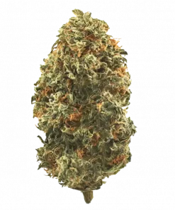 41K, benzersiz nane ve böğürtlen aromalarıyla öne çıkan dengeli bir hibrit türüdür. Yüksek THC içeriğiyle rahatlatıcı etkilerini keşfedin ve detaylı özelliklerini görüntüleyin.