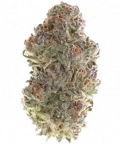 420 Punch, tatlı meyve aromaları ve rahatlatıcı etkisiyle öne çıkan Indica baskın bir hibrit türdür. Depresyon ve stresi azaltmaya yardımcı olabilir. Keşfedin.