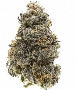 443, benzersiz meyve aromaları ve güçlü rahatlatıcı etkisiyle öne çıkan Indica baskın bir türdür. Uykusuzluğa iyi gelir. Genetik yapısını keşfedin ve detayları görüntüleyin.