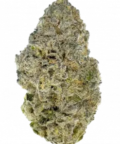 51 Fifty, yakıtımsı ve toprak notalarıyla dengeli bir hibrit türüdür. Yaratıcılığı teşvik eden ve rahatlatan bu türün genetik yapısını keşfedin.