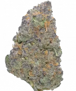 69 Miracles, yakıtımsı ve turunçgil aromalı, kristal kaplı bir hibrit türdür. Dengeli genetiği ve yüksek THC içeriğiyle öne çıkar. Özelliklerini keşfedin.