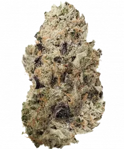 90 Proof, benzin kokulu üzüm aromaları ve 'ye varan THC içeriğiyle öne çıkan Indica dominant bir türdür. Etkilerini ve genetik yapısını keşfedin.