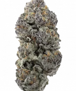 91 Octane, üzümsü aroması ve yüksek THC içeriğiyle bilinen Indica baskın bir türdür. Spazmlara ve strese iyi gelir. Etkilerini keşfedin.