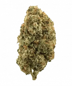 A.B. Parfait, mentol aroması ve yüksek THC içeriğiyle dikkat çeken dengeli bir hibrit türdür. Canlandırıcı ve rahatlatıcı etkilerini keşfedin.