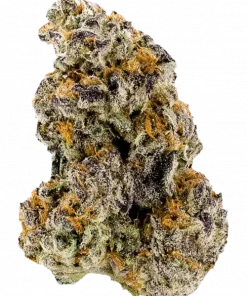 A La Mode, yakıtımsı ve meyvemsi aromalarıyla öne çıkan dengeli bir hibrit türdür. Yüksek THC içeriğiyle enerji ve yaratıcılık sunar. Özelliklerini keşfedin.