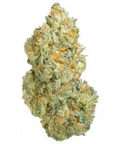 A.M.S., yeşil elma aromaları ve küfe direnciyle bilinen Indica baskın bir türdür. Dengeli etkileri ve kolay yetiştirilmesiyle öne çıkar. Özelliklerini keşfedin.