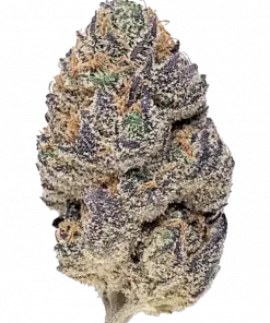 Acai Berry Gelato, tropikal meyve aromaları ve yüksek Sativa etkisiyle öne çıkan bir türdür. Yaratıcılığı ve motivasyonu artırır. Genetik yapısını keşfedin.