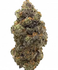 Acai Grapes, tatlı üzüm aroması ve dengeli etkisiyle öne çıkan Sativa baskın bir türdür. Stresi azaltan bu özel türün genetik yapısını keşfedin.