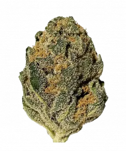 Acid Dough, ananas aroması ve yüksek THC içeriğiyle öne çıkan Sativa baskın bir türdür. Sosyal etkilerini ve tropikal lezzetini keşfedin.