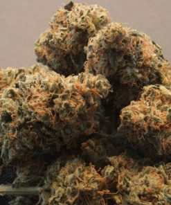 Acid Dough Feminized Esrar Tohumu (Ripper Seeds)