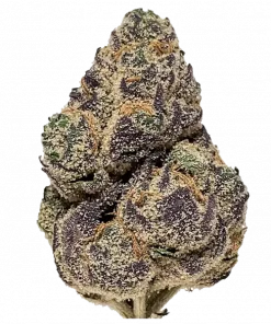 Adios MF, sert narenciye aroması ve THC oranıyla öne çıkan dengeli bir hibrit türdür. Depresyon ve uykusuzluğa iyi gelir. Etkilerini keşfedin.