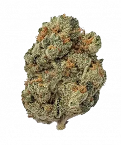 Afgan Kush, benzersiz mango aroması ve yüksek reçine üretimiyle bilinen güçlü bir Indica türüdür. Rahatlatıcı etkilerini keşfedin ve genetik yapısını görüntüleyin.