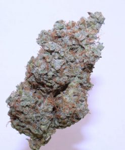 Afghan Kush Auto Fem Esrar Tohumu (Fast Buds)