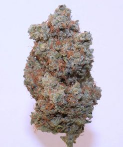 Afghan Kush Auto Fem Esrar Tohumu (Fast Buds)