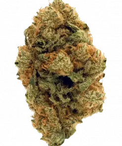 Afghani Kush, toprak kokusu ve rahatlatıcı etkisiyle bilinen Indica dominant bir türdür. Uykusuzluğa iyi gelir. Bu benzersiz türü keşfedin.