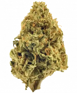 Afghanica, toprak ve haşiş aromalı, yüksek THC'li bir indica türüdür. Derin rahatlama ve uyku için ideal. Bu eşsiz türü keşfedin.