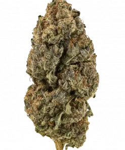 Afgoo, keskin aroması ve THC içeriğiyle bilinen Indica dominant bir türdür. Yaratıcılığı tetikleyen ve rahatlatan bu özel türü keşfedin.