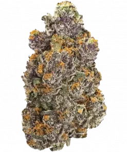 African Lemons, keskin limon aroması ve yüksek THC içeriğiyle bilinen bir hybrid türdür. Enerji veren etkilerini ve eşsiz lezzetini keşfedin.