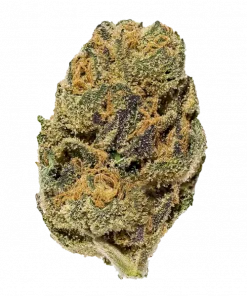 Agent Orange, belirgin portakal aroması ve enerji veren etkisiyle bilinen Sativa baskın bir türdür. Bu eşsiz türün genetik yapısını ve potansiyel faydalarını keşfedin.