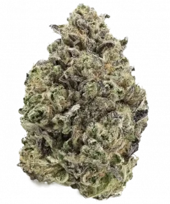 AK-420, tatlı ve çam aromalarıyla öne çıkan sativa baskın bir türdür. Yaratıcı etkileri ve kolay yetiştirme özellikleriyle keşfedin.