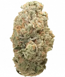 AK-48, tatlı ve baharatlı aromalarıyla öne çıkan Indica dominant bir türdür. THC içeriğiyle mutluluk verici etkilerini keşfedin. Genetik yapısını görüntüleyin.