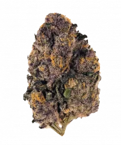 Akira, tatlı ve odunsu aromaları ile öne çıkan Indica dominant bir türdür. THC içeriğiyle öfori ve rahatlama sağlar. Etkilerini keşfedin.