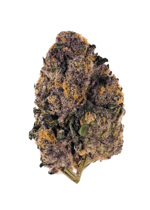 Akira, tatlı ve odunsu aromaları ile öne çıkan Indica dominant bir türdür. THC içeriğiyle öfori ve rahatlama sağlar. Etkilerini keşfedin.