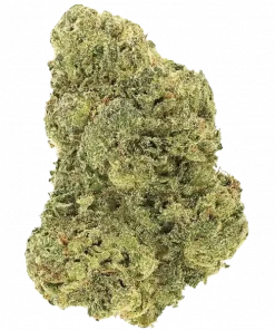 Alaskan Ice, yüksek THC ve toprak tonlarıyla öne çıkan sativa baskın bir türdür. Güçlü etkilerini ve genetik yapısını keşfetmek için hemen görüntüleyin.