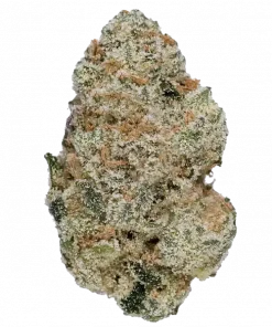 Alaskan Thunderfuck, yakıtımsı ve turunçgil aromalarıyla bilinen sativa baskın bir türdür. Enerji verici etkileriyle öne çıkar. Genetik yapısını keşfedin.