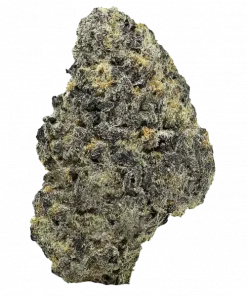 Alien Apple, tatlı elma ve yakıtımsı notalarıyla öne çıkan indica ağırlıklı bir türdür. Yüksek THC içeriğiyle derin rahatlama sağlar. Özelliklerini keşfedin.