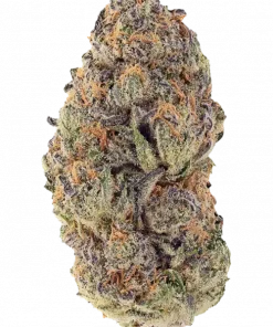 Alien Breath, yüksek THC'si ve rahatlatıcı etkisiyle bilinen dengeli bir hibrit türüdür. Tatlı meyve aromaları sunar. Bu eşsiz türü keşfedin.