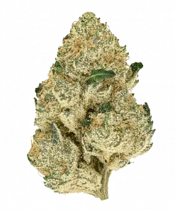 Alien Bubba, tatlı meyve ve çay aromalarıyla öne çıkan Indica baskın bir türdür. THC içeriğiyle rahatlatıcı etkilere sahiptir. Genetik yapısını keşfedin.