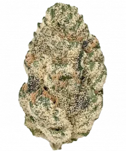 Alien Candy, tatlı narenciye aromaları ve rahatlatıcı Indica etkileriyle öne çıkan dengeli bir türdür. Spazmlar ve ağrılar için ideal. Özelliklerini keşfedin.