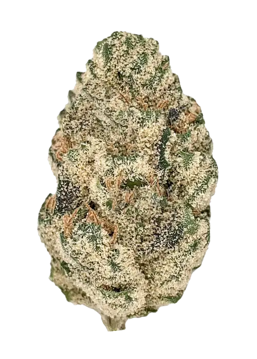 Alien Candy, tatlı narenciye aromaları ve rahatlatıcı Indica etkileriyle öne çıkan dengeli bir türdür. Spazmlar ve ağrılar için ideal. Özelliklerini keşfedin.