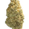 Alien Dawg, yakıtımsı dizel aroması ve yüksek THC içeriğiyle bilinen Indica dominant bir türdür. Güçlü etkilerini ve genetik yapısını keşfedin.