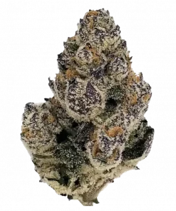 Alien Fruit Juice, tatlı narenciye aromalarıyla öne çıkan dengeli bir hibrit türdür. THC içeriğiyle hem zihinsel hem de fiziksel rahatlama sunar. Hemen keşfedin.