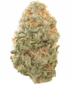 Alien Kush, yakıtımsı aroması ve dengeli yapısıyla öne çıkan bir türdür. LVPK ve Alien Dawg genetiğiyle yaratılan bu hibriti keşfedin ve etkilerini inceleyin.