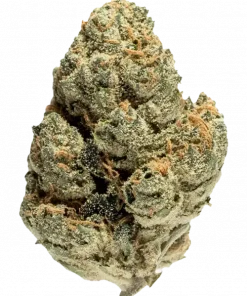 Alien Mints, yakıtımsı aroması ve yüksek THC içeriğiyle öne çıkan dengeli bir hibrit türdür. Ruh halini yükseltici etkilerini keşfedin ve detaylı inceleyin.