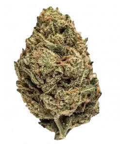 Alien OG, kimyasal limon aroması ve yüksek THC içeriğiyle bilinen bir hibrit türdür. Ağrı ve stresi azaltan etkilerini keşfedin.