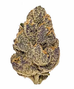 Alien Rock Candy, yakıtımsı aroması ve yüksek THC içeriğiyle öne çıkan Indica dominant bir türdür. Spastisite ve uykusuzluğa iyi gelir. Özelliklerini keşfedin.
