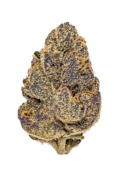 Alien Rock Candy, yakıtımsı aroması ve yüksek THC içeriğiyle öne çıkan Indica dominant bir türdür. Spastisite ve uykusuzluğa iyi gelir. Özelliklerini keşfedin.