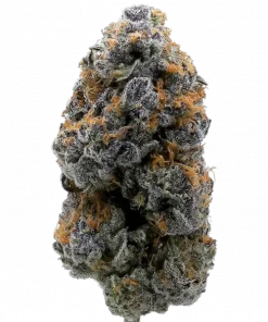 Alien Technology, yakıtımsı aroması ve 'a varan THC içeriğiyle öne çıkan Afgan indica türüdür. Rahatlatıcı etkilerini keşfedin ve hemen inceleyin.