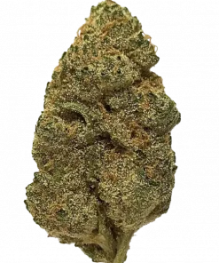 Aloha Express, ananas aromalı, tatlı ve biberli notalara sahip Sativa baskın bir türdür. Enerji verici etkileriyle öne çıkar. Genetik yapısını keşfedin.