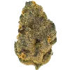 Aloha Berry, tropikal meyve aromaları ve öforik etkisiyle bilinen indica baskın bir türdür. THC ile güçlü etkilere sahiptir. Özelliklerini keşfedin.