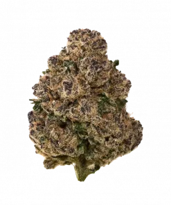 Amalfi Coast, turunçgil ve yakıtımsı notalarıyla öne çıkan Indica baskın bir türdür. Yüksek THC içeriğiyle anksiyete ve ağrıya iyi gelir. Özelliklerini keşfedin.