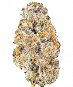 Amarelo, yakıtımsı ve limon aromalı, yüksek THC'li bir Sativa türüdür. Yaratıcılığı tetikleyen genetik yapısını keşfedin ve benzersiz deneyimini görüntüleyin.