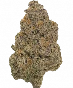 Amarelo 9, turunçgil ve muz aromalarıyla öne çıkan sativa baskın bir türdür. Yüksek THC içeriğiyle enerjik etkiler sunar. Bu eşsiz türü keşfedin.